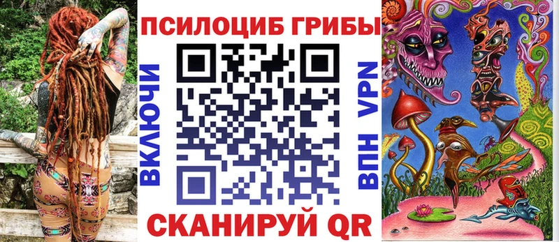 Купить где  Бийск  Галлюциногенные грибы GOLDEN TEACHER 
