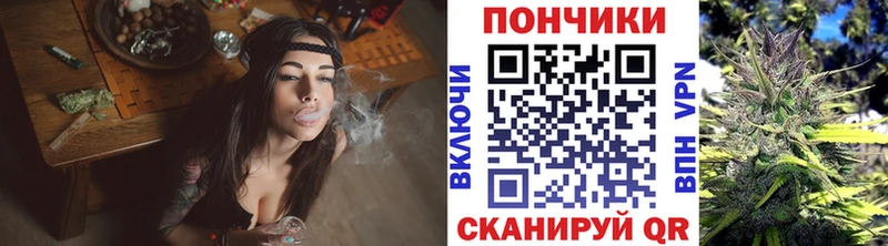 Купить закладки  Бийск  Канабис SATIVA & INDICA 